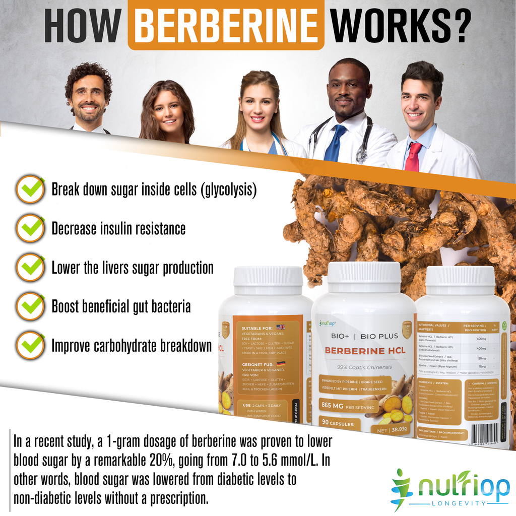 Nutriop® Bio-Enhanced Berberine HCL 865mg - Dual-Source Metabolic AMPK Activator (90 Capsules)