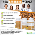 Nutriop® Bio-Enhanced Berberine HCL 865mg - Dual-Source Metabolic AMPK Activator (90 Capsules)